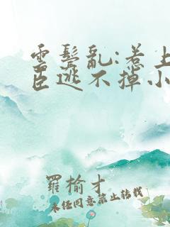 云鬓乱:惹上奸臣逃不掉小说阅读全部