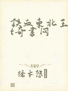 铁血东北王txt奇书网