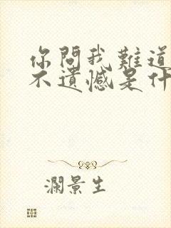 你问我难道真的不遗憾是什么歌