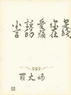 小说爱你是我难言的痛在线阅读