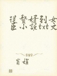 从赘婿到女帝宠臣小说txt文本下载