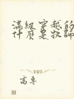 满级穿越的我为什么是牧师小姐啊 小说