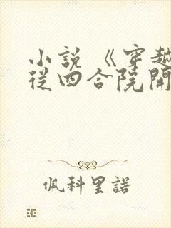 小说 《穿越:从四合院开始》