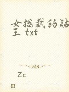 女总裁的贴身兵王 txt