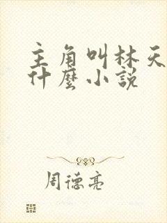主角叫林天的叫什么小说