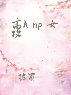 高h np 女攻