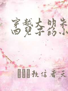 穿越大明朱棣的四儿子的小说