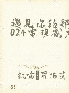 遇见你的那天2024电视剧免费观看
