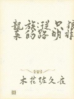 龙族:从只狼归来的路明非小说