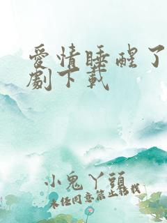 爱情睡醒了电视剧下载