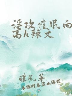 淫攻催眠向np高h辣文