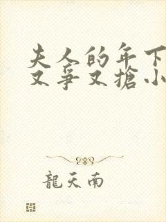 夫人的年下保镖又争又抢小说