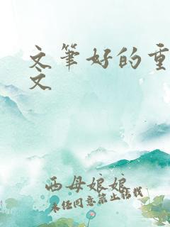 文笔好的重生宠文