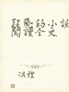 段飞的小说免费阅读全文