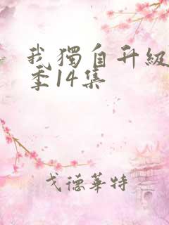 我独自升级第二季14集