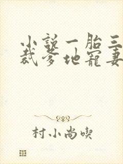 小说一胎三宝总裁爹地宠妻成瘾