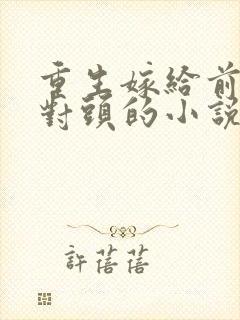 重生嫁给前夫死对头的小说