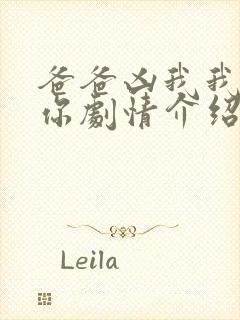 爸爸凶我我也爱你剧情介绍