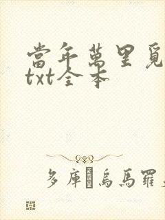 当年万里觅封侯txt全本