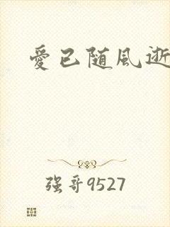 爱已随风逝小说