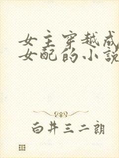 女主穿越成恶毒女配的小说