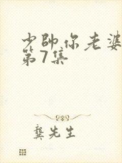 少帅你老婆又跑第7集