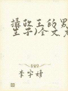 摄政王的男妃(生子)全文免费阅读