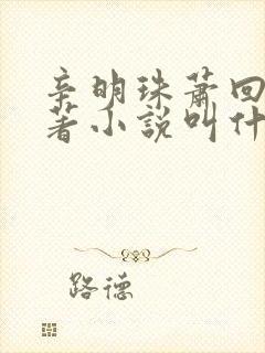 辛明珠萧回大原著小说叫什么名字