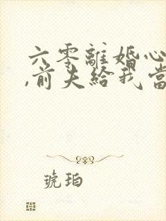 六零离婚心不慌,前夫给我当红娘