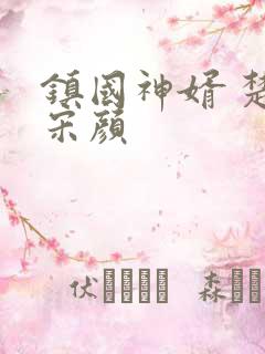 镇国神婿 楚尘宋颜