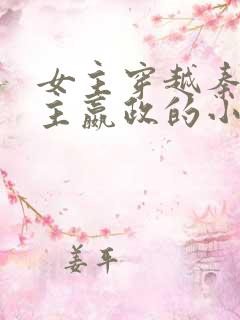 女主穿越秦朝男主嬴政的小说