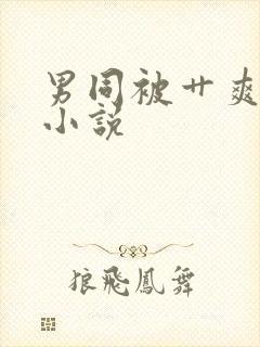 男同被艹爽飞了小说