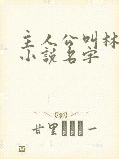 主人公叫林辰的小说名字