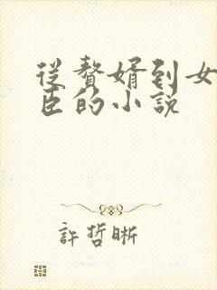 从赘婿到女帝宠臣的小说