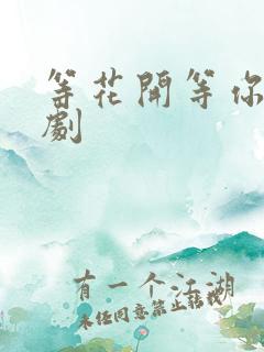 等花开等你归短剧