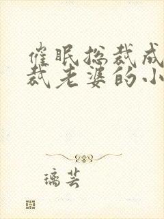 催眠总裁成为总裁老婆的小说