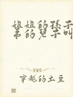 姐姐的孙子叫弟弟的儿子叫什么