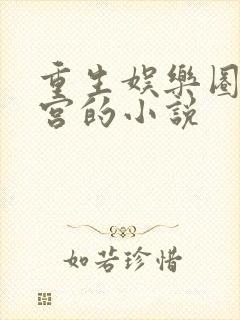 重生娱乐圈开后宫的小说