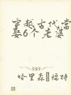 穿越古代当秀才娶6个老婆