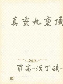 真灵九变顶点
