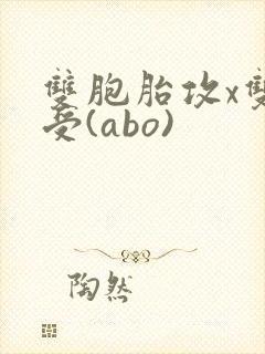 双胞胎攻x双性受(abo)