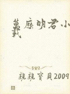 万历明君小说下载