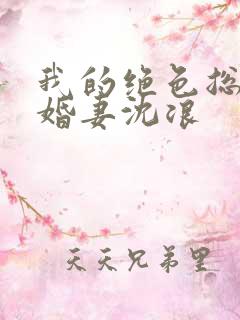 我的绝色总裁未婚妻沈浪