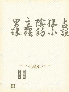 男主阴狠占有欲很强的小说古言