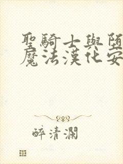 圣骑士与堕落的魔法汉化安装