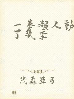 一拳超人动漫出了几季