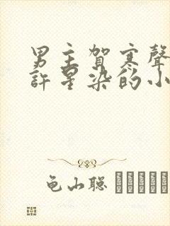 男主贺寒声女主许星染的小说