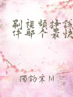 刷视频挣钱的软件哪个最快