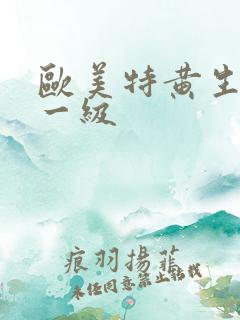 欧美特黄生活片一级