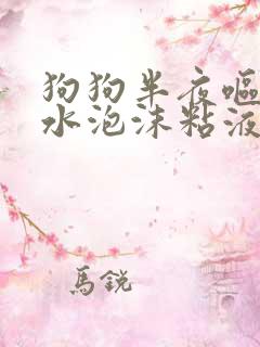 狗狗半夜呕吐黄水泡沫粘液